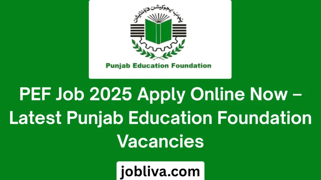 PEF Job 2025 Apply Online Now Latest Punjab Education Foundation Vacancies