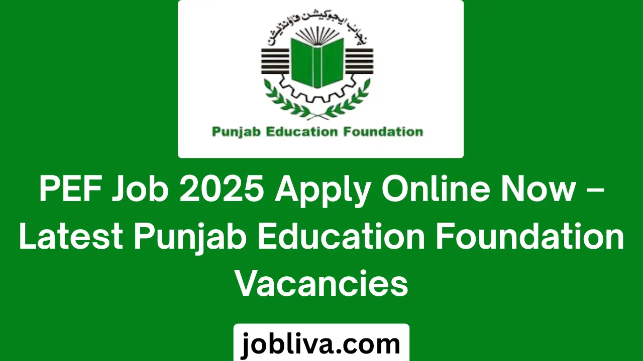 PEF Job 2025 Apply Online Now Latest Punjab Education Foundation Vacancies