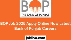BOP Job 2025 Apply Online Now Latest Bank of Punjab Careers
