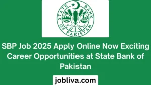 SBP Job 2025 Apply Online Now Exciting Career Opportunities at State Bank of Pakistan
